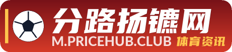 分路扬镳网